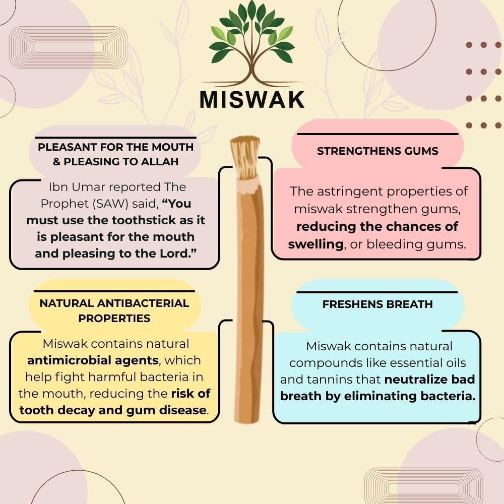 Miswak Sticks - Pack of 10 Natural Toothbrush Sticks with Wooden Holder