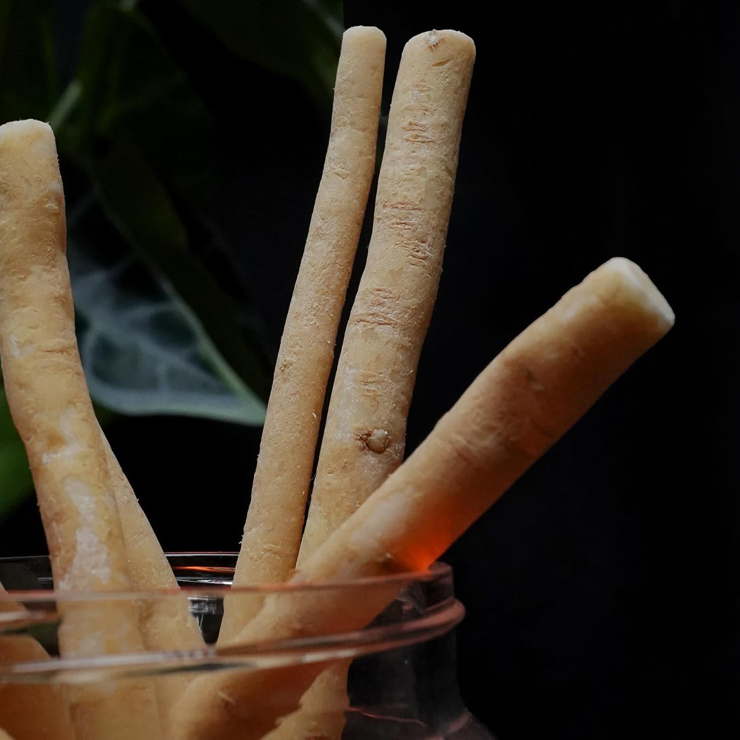 MISWAK Sticks - Pack of 5 Natural Toothbrush Sticks with Vacuum Holder