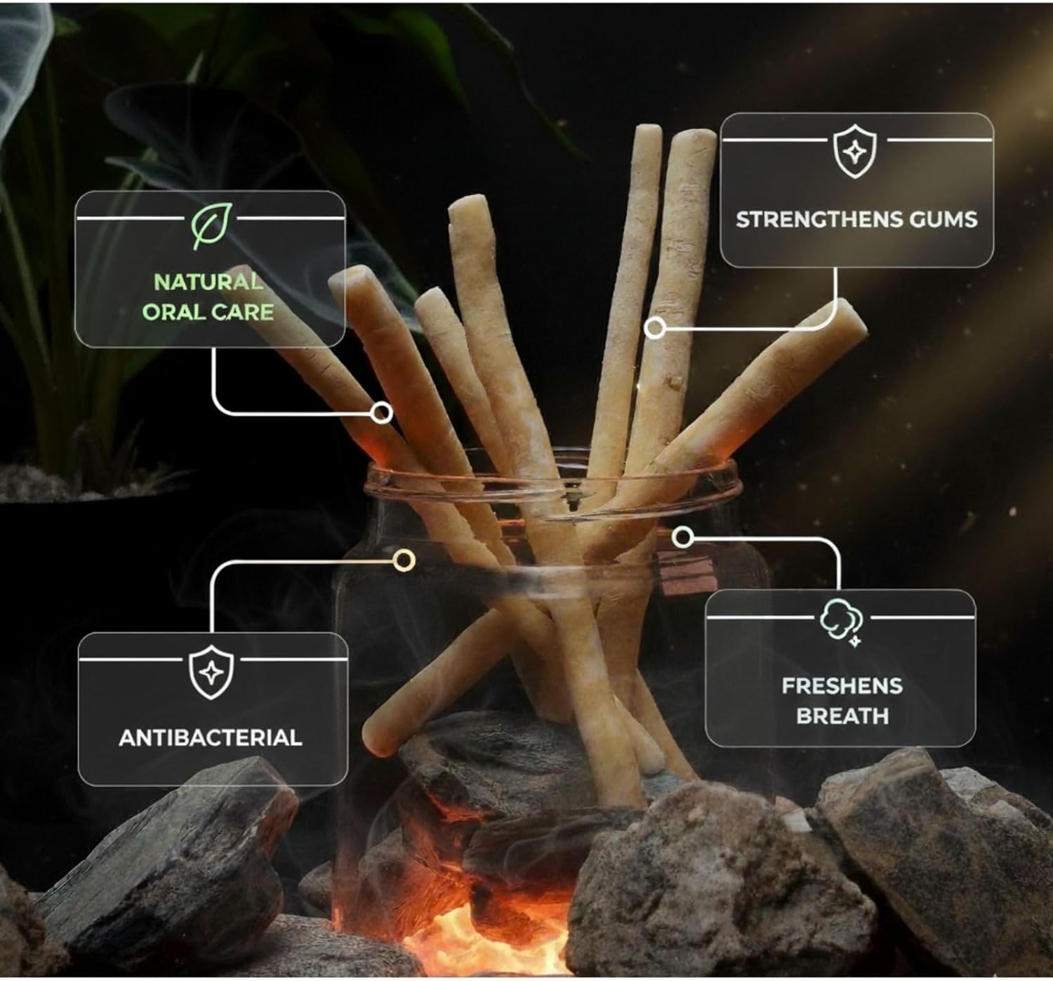MISWAK Premium Natural Sticks Pack of 3 with Vacuum Holder