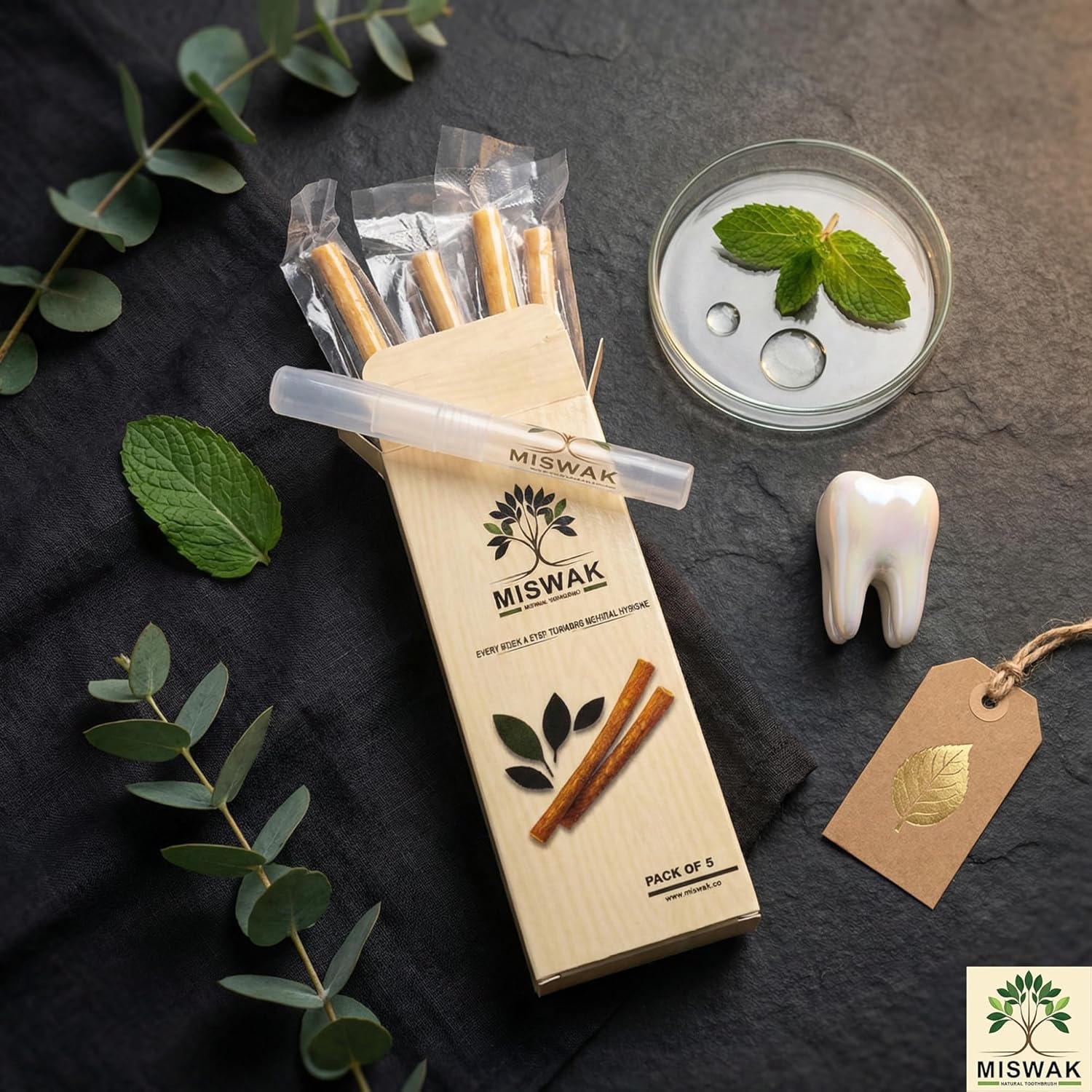 MISWAK Sticks - Pack of 5 Natural Toothbrush Sticks with Vacuum Holder