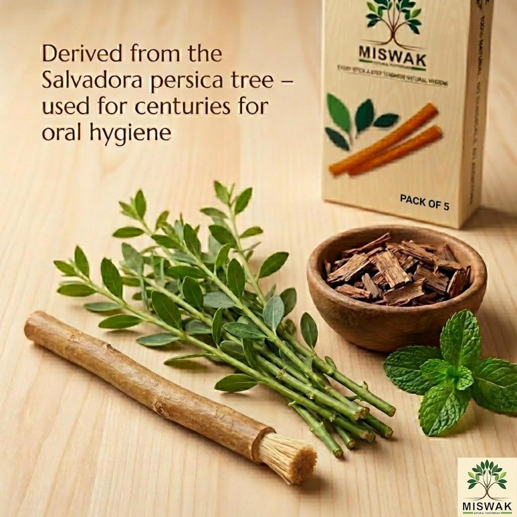 MISWAK Sticks - Pack of 5 Natural Toothbrush Sticks with Vacuum Holder