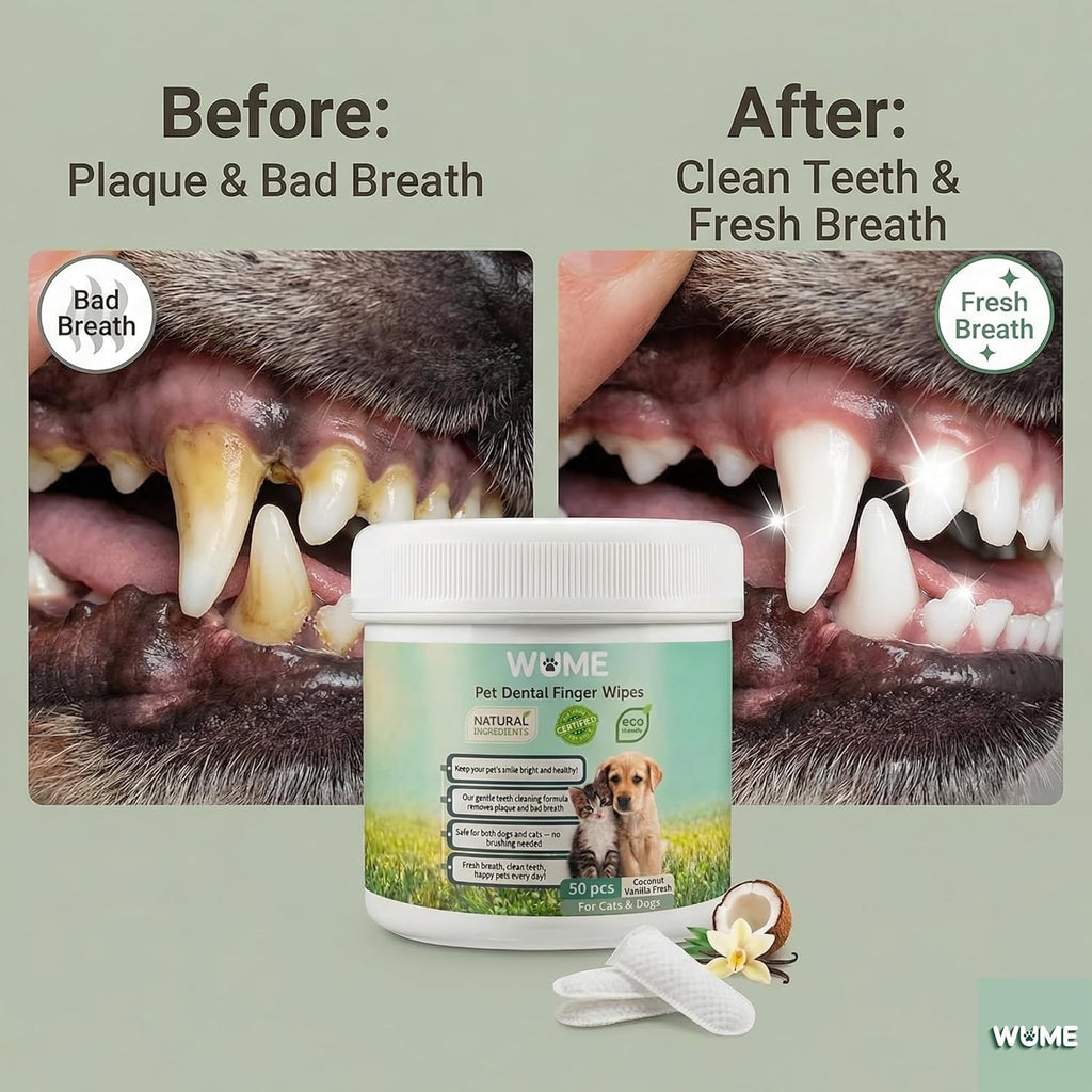 WUME Coconut Vanilla Fresh Pet Dental Finger Wipes for Dogs & Cats